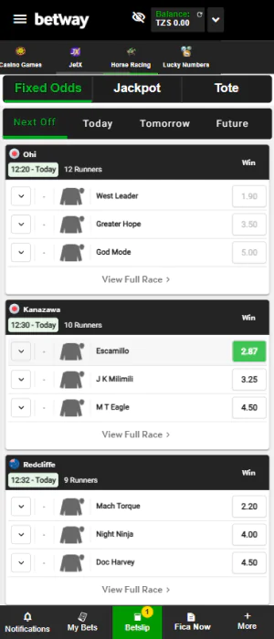 Horse racing betting is one of the sections of the Betway Tanzania app