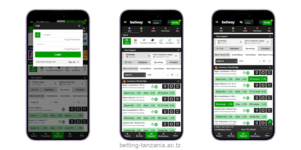 A guide to betting on sports through the Betway app