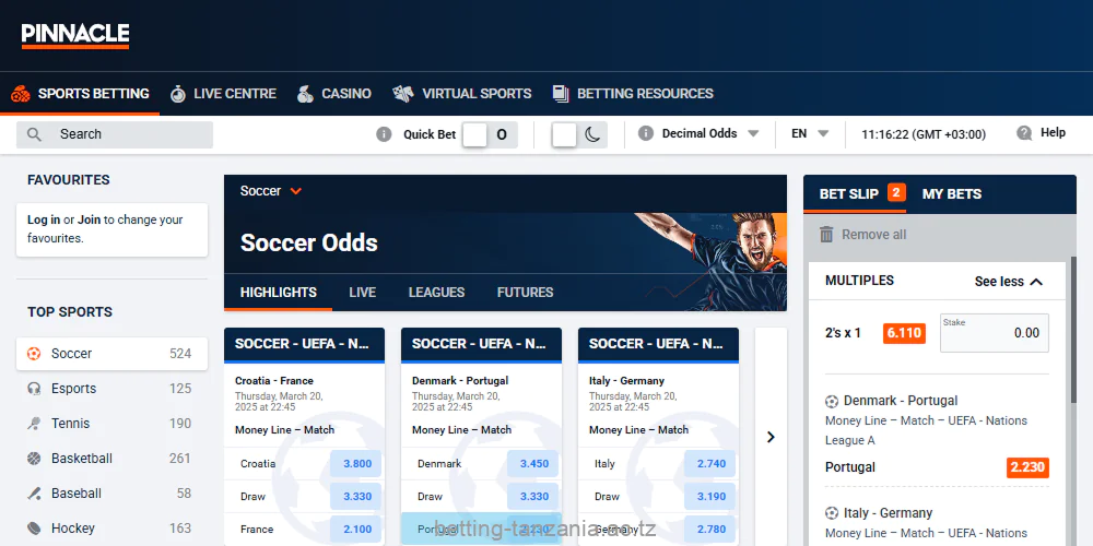 Instructions on how to bet on the Pinnacle Tanzania website