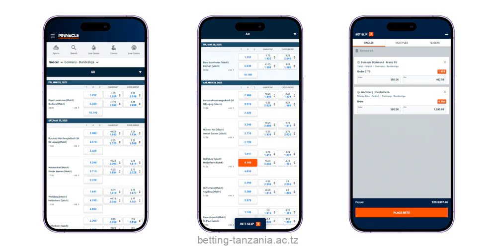 Before placing their first bet on the Pinnacle app, Tanzanian bettors must register and fund their account