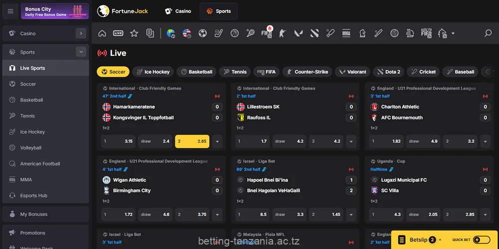 Tazania players can bet on sports at Fortunejack