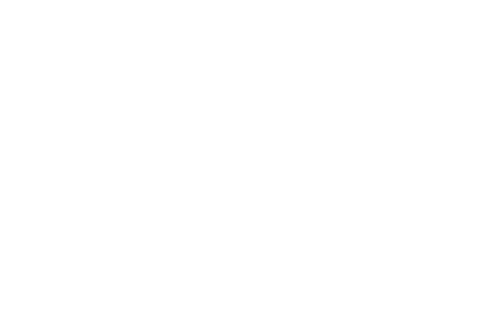 Leon Bet logo