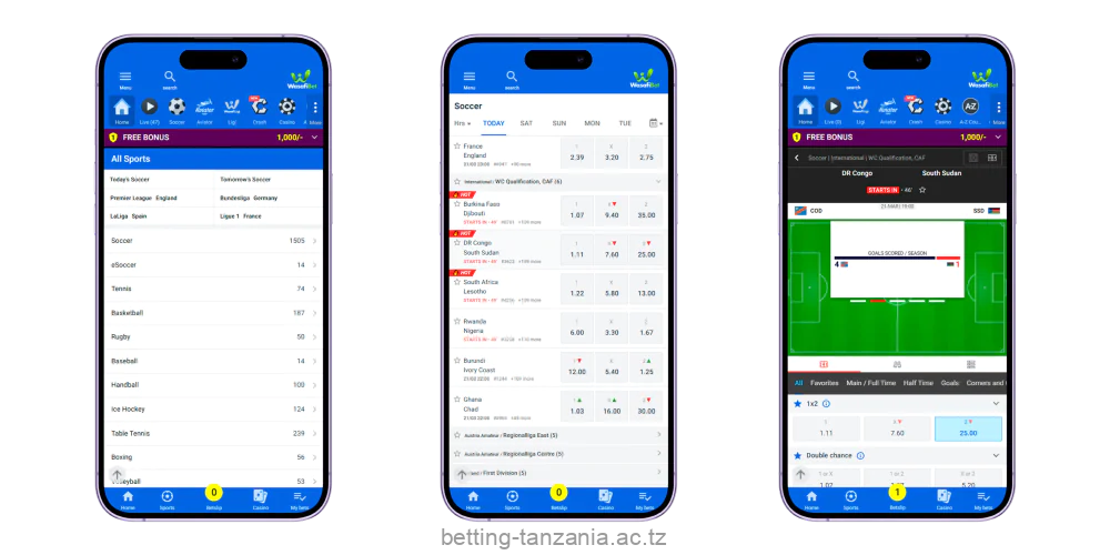 Step-by-step instructions on how to place a bet in WasafiBet Tanzania app
