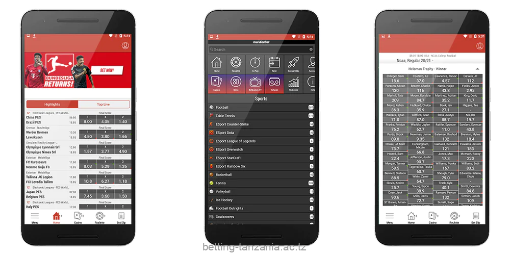 Betting options for Tanzanian users via Meridianbet apps
