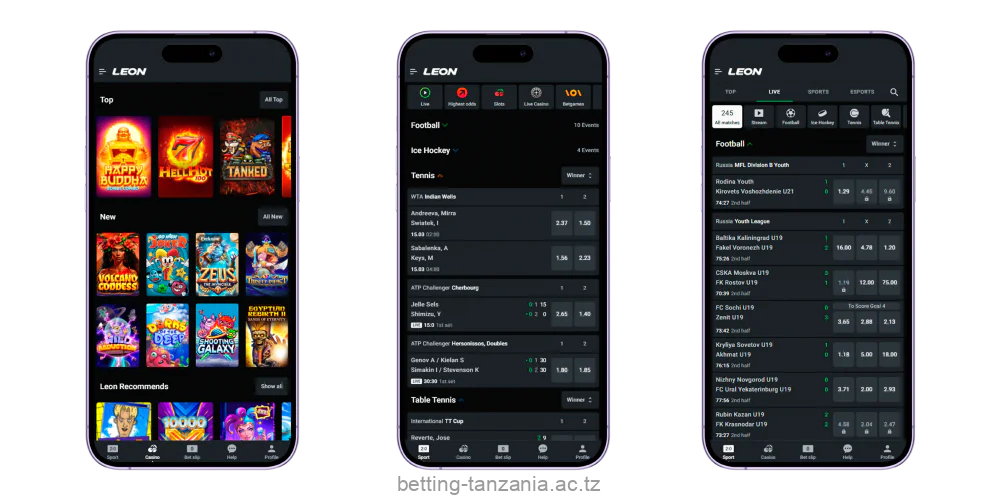 Servizi di gioco nell app Lionbet