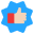 Choice icon